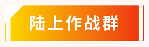 1陆上作战群a
